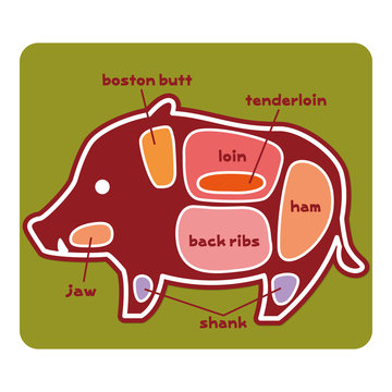 食物図解/猪肉の部位（英語）