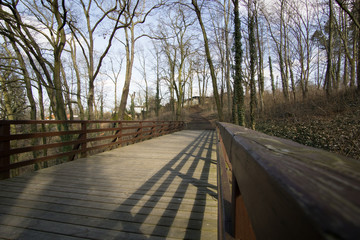 wooden bridge in the forest
