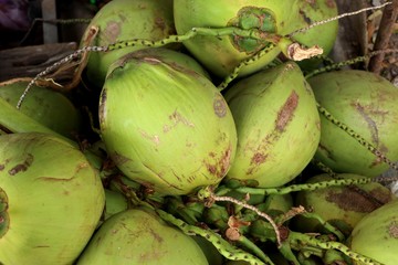 Coconut at street food