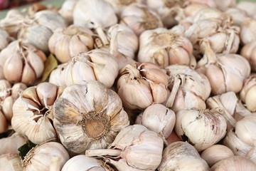 garlic at the market