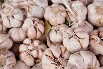 garlic at the market