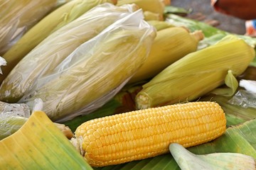 Boiled corn at market