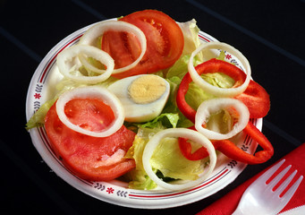 4944 - 2  Plato de ensalada con lechuga, tomate, pimiento, cebolla y medio huevo hervido.