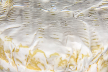 macro cheese camembert or brie close up texture - Milk production. top view image with copy space. the concept of Italian cuisine