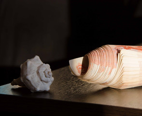 money and a shell on a dark background