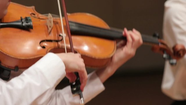 Viola performer TS