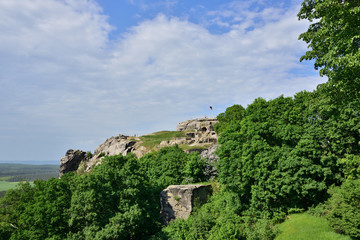 Burgruine  Regenstein im Harz