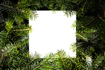 White background with branches of christmas tree. New Year, Christmas, Saint Nicholas, Santa.