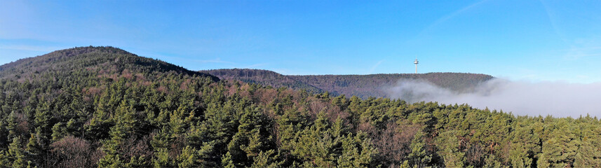 Pfälzerwald Panorama