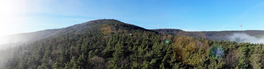 Pfälzerwald Panorama