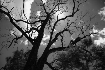 der moment wo sachen i