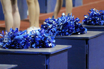 Cheerleaders and Pom Poms