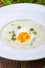 frische Kerbelsuppe mit Ei