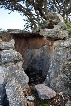 Hiking. From a hikes on the Karia trail. Turgut Castle. The Hydas Acropolis.Karia is on the way.Turgut. Mugla. Turkey. tourism in pine forest Hike Turkey