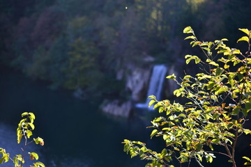 Fototapeta na wymiar Plitvice Lakes National Park, turquoise lakes and waterfalls in Croatia - UNESCO World Heritage