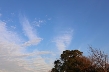 よく晴れた冬の散歩道