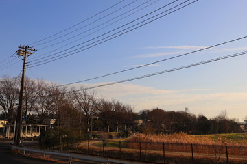よく晴れた冬の散歩道
