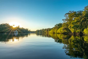 Foto op Plexiglas Suwannee River, Gilchrist County, Florida © Mark J. Barrett