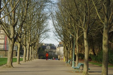 L'allée du parc