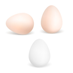 Three vector realistic white and brown eggs. Chicken eggs isolated on white background. Vector Eps10