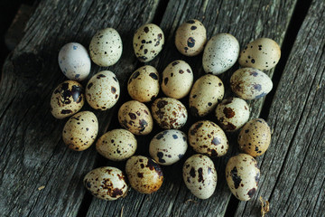 lots of quail eggs scattered on wooden background. Easter background