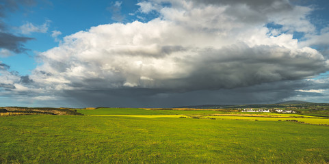 Obraz premium Rainy sky above the green field. Northern Ireland panoramic view. Breathtaking landscape the huge white clouds, grass covered meadow before the rain. Picturesque Irish countryside background.