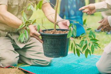 The provincial governor and his wife  plant a tree together for