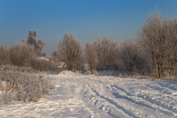 Fototapeta na wymiar Snowy road leading to a village. Hoarfrost on tree branches on a sunny winter day