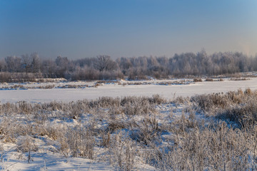 Winter landscape. Plants and trees covered with hoarfrost