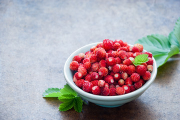 Wild fresh strawberries