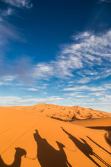 Camels caravan shadows projected over Erg Chebbi desert sand dunes