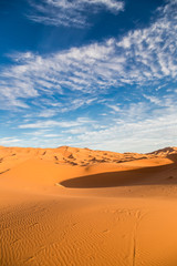 Fototapeta na wymiar Vertical view of Sahara desert