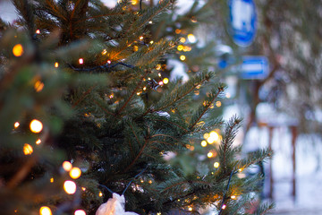 christmas tree closeup