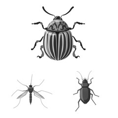 Isolated object of insect and fly logo. Collection of insect and element stock vector illustration.