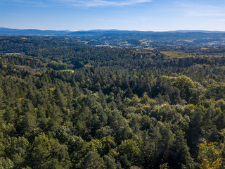 Forests south of Krakow, Poland