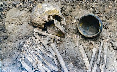 Skull and bones on the ground, excavated by archaeologists of the dead.