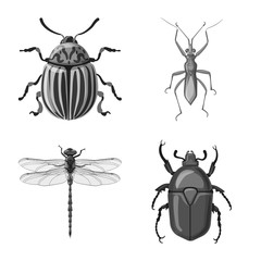 Vector design of insect and fly sign. Set of insect and element stock vector illustration.