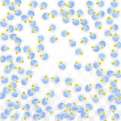 Vector Realistic Blue Petals Falling on Transparent Background.  Spring Romantic Flowers Illustration. Flying Petals. Sakura Spa Design. Blossom Confetti.