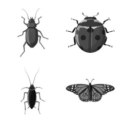 Vector design of insect and fly icon. Set of insect and element stock vector illustration.
