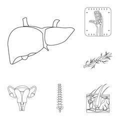 Isolated object of body and human sign. Collection of body and medical stock vector illustration.