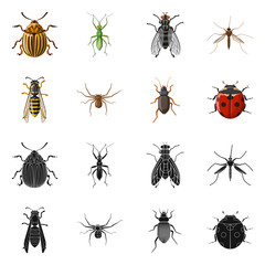 Vector illustration of insect and fly sign. Collection of insect and element stock symbol for web.