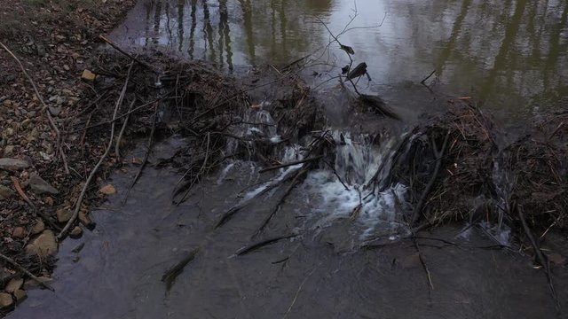 Biberdamm in einem kleinem Flu&szlig;