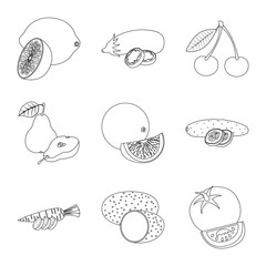 Isolated object of vegetable and fruit icon. Set of vegetable and vegetarian stock vector illustration.