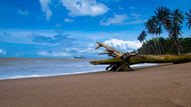 Beach in axim Ghana when it's most beautiful.