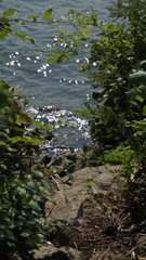 Sitting by the water