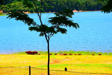 TRAVEL