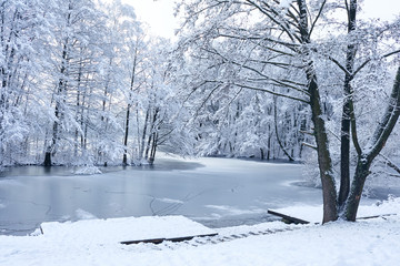 beautiful winter park