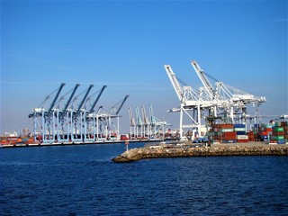 Naklejka premium Cranes in the container terminal