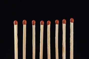 group of unburned matches isolated on black background