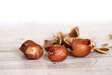 hazelnut on wooden background